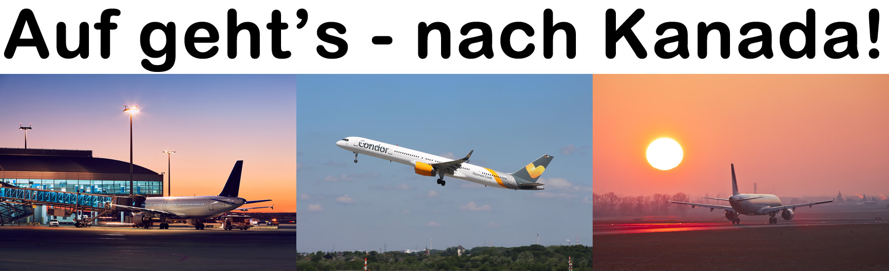 SIPLAGO.com - Artikel - Banner