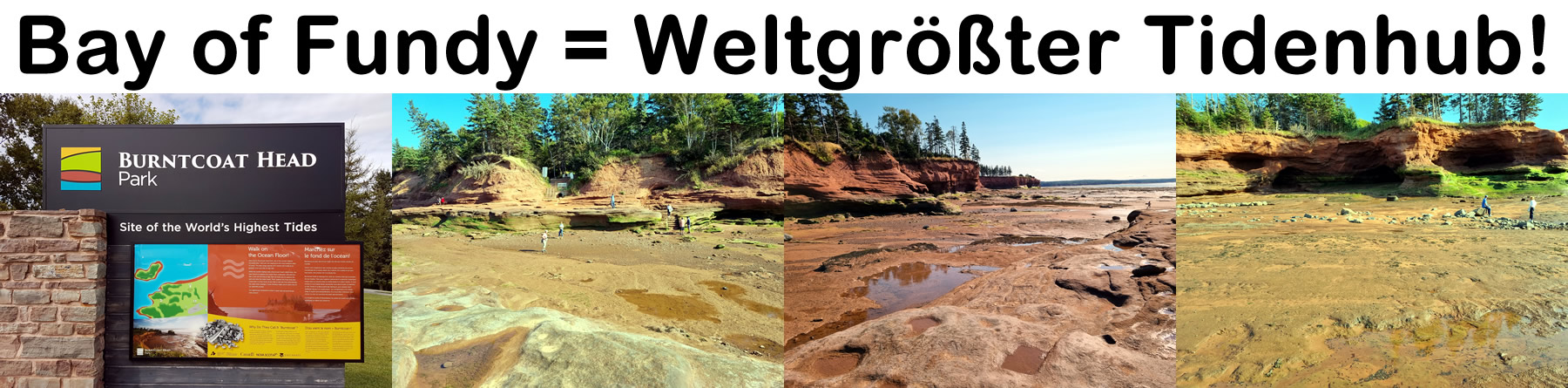 Bay of Fundy