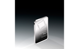 1 Feinunze Platinbarren